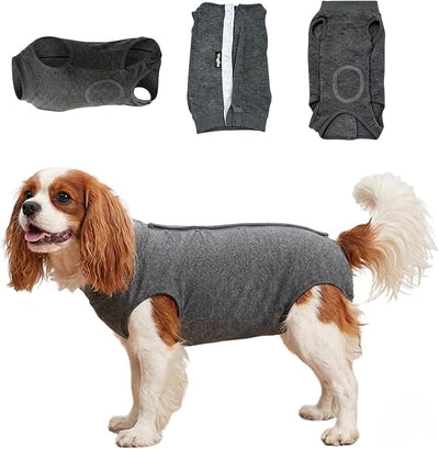 Dog Recovery Suit for Puppy & Small Dogs – Soft Cotton Anti-Lick Onesie, E-Collar Alternative for Abdominal Healing, Back Length 11-14" (Size M) – Please Check Size Chart Before Buying
