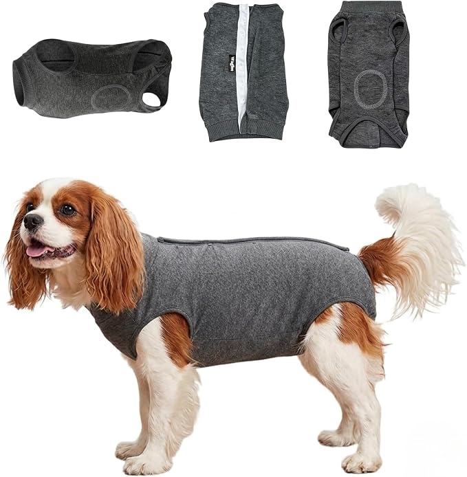 Dog Recovery Suit for Puppy & Small Dogs – Soft Cotton Anti-Lick Onesie, E-Collar Alternative for Abdominal Healing, Back Length 11-14" (Size M) – Please Check Size Chart Before Buying