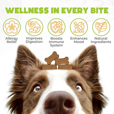 Dog Allergy Chews - 150 Pcs - Allergy Relief for Dogs - Supplements for Itchy Skin & Paw Licking - US Formula with Probiotics, Natural Ingredients, and Vitamins - Beef Flavor