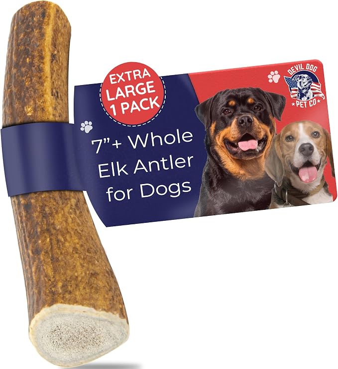 Elk Antlers for Dogs, Natural Dog Chew for Aggressive Chewers - Long Lasting and Odor Free - USA Sourced - Cleaner Teeth, Anxiety & Boredom Relief - Whole XL 7"+ - Antler Bone