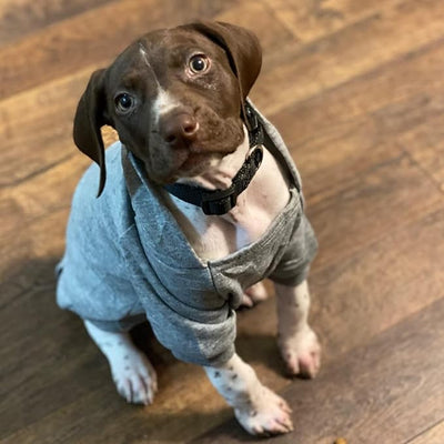 Jecikelon Soft Dog Hoodies for Small Dogs, Fleece Puppy Sweatshirt with Pockets, Warm Winter Cold Weather Coats for Pet Cat, Cute Clothes Puppy Costume (Grey, X-Small)