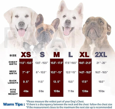 Sleeveless Pullover Fleece Vest for Small Dogs: Cozy Polyester Dog Jacket, Tank Top Sweater with Leash Ring and Armholes, Crisp, Warm, and Easy-to-Wear Design for Everyday Comfort Lake Blue XL