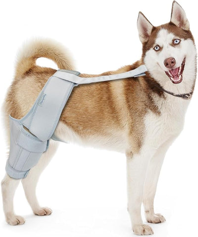 Dog Knee Brace for Torn ACL & Hind Leg Support – Adjustable Dog Hip & Leg Brace for Cruciate Ligament, Arthritis Relief, Joint Stability & Injury Recovery, Color: Silver, Size: 2X-Large