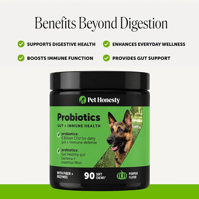6 Billion CFU Dog Probiotics with Prebiotics, Digestive Enzymes, & Fiber - Relief for Occasional Diarrhea, Gas, Bloating & Itchy Skin - Daily Gut Health & Immune Support for All Dogs (Pumpkin, 90 ct)
