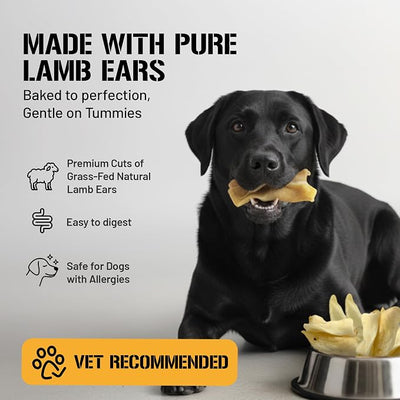 Dog Chits Lamb Ears for Dogs – 100% Natural Baked Lamb Ear Dog Treats – Grain-Free, High Protein, Lower Fat Training Chews – Dental Health & Joint Support – for Large, Medium Dogs – 15 Pack