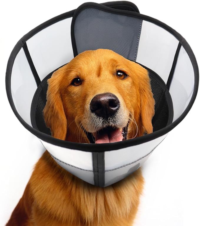 WinWeal Upgraded Soft Dog Cone Collar for Large Medium Dogs After Surgery – Adjustable Transparent Recovery Collar, Breathable Elizabethan E-Collar for Wound Healing & Anti-Licking (XS, Black)
