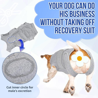 Lukovee Recovery Suit for Dogs, Zipper On Recovery Suit for Female Male Dog, Onesie Abdominal Wounds Cone E-Collar Alternative (S,GY)
