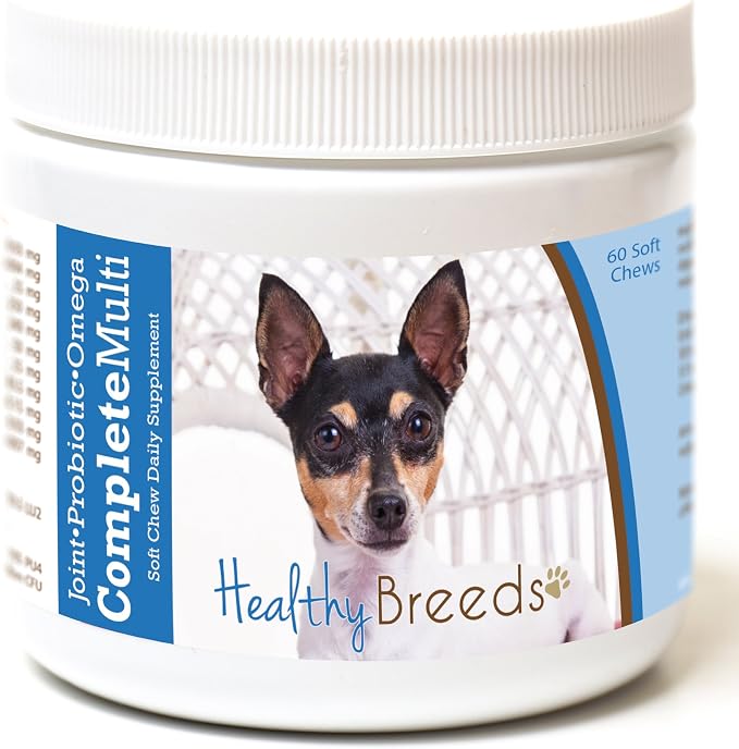 Toy Fox Terrier All in One Multivitamin Soft Chew 60 Count