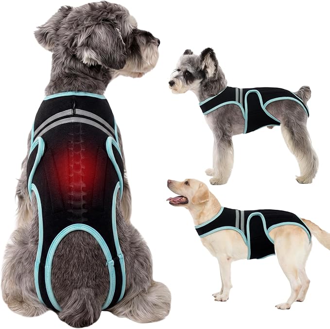 Dog Back Brace, Breathable Dog Post-Surgery Vest for IVDD, Arthritis & Spine Support, Adjustable Reflective Pet Back Bracer Pain-Relieving Harness, Black S