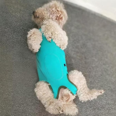 Dog's Recovery Suit Post Surgery Shirt for Puppy, Small Dog Surgical Recovery Suit for Female Male Dogs, Dog Onesie Protect Surgical Wound(Blue-l)