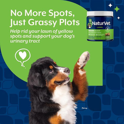 NaturVet – GrassSaver Supplement for Dogs – Healthy Supplement to Help Rid Your Lawn of Yellow Spots – Synergistic Combination of B-Complex Vitamins & Amino Acids – 120 Soft Chews