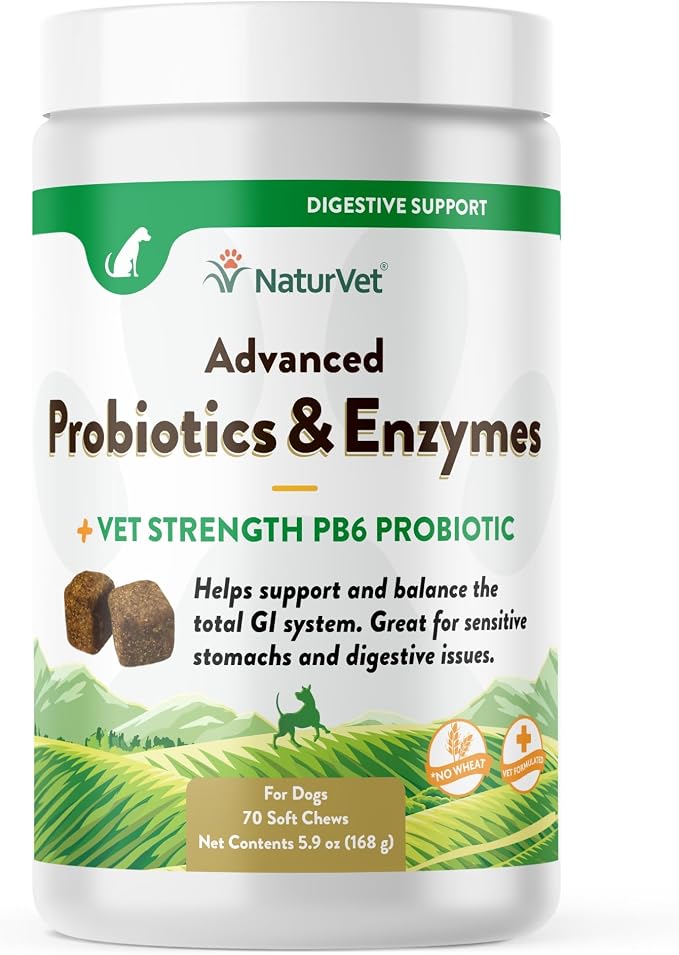 Advanced Probiotics & Enzymes, PB6 Dog Soft Chews to Help Sensitive Stomachs and Digestive Issues, Hickory Smoked Bacon Flavored Pet Supplement for Dogs Over 6 Weeks, 70 Count Jar