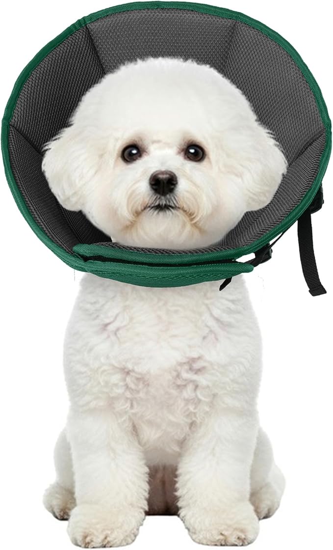 Allroaring Breathable Medium Dog Cone, Comfy Cone After Surgery Green M | Soft Fabric; Hot Spots & Rashes; Stitches Protection; Adjustable Bluckle; Comfy E-Collar Alternative; Foldable for Meals