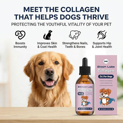 Bloom Collagen for Dogs,Bloom Triple Collagen for Dogs, Support for Skin, Coat, HIPS & Gut Health,2 fl.oz (3pcs)