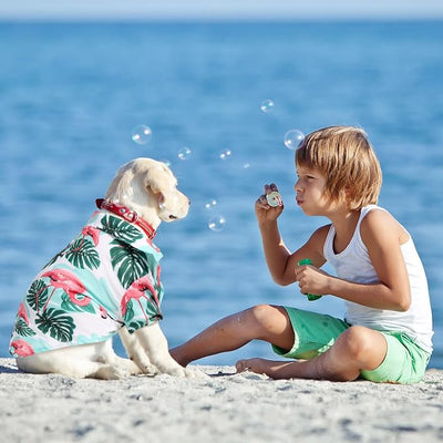 Weewooday 4 Pieces Small Pet Summer T-Shirts Hawaii Style Floral Pet Dog Shirt Breathable Cool Clothes Beach Seaside Puppy Sweatshirt for Puppy(Lovely Style,X-Small)