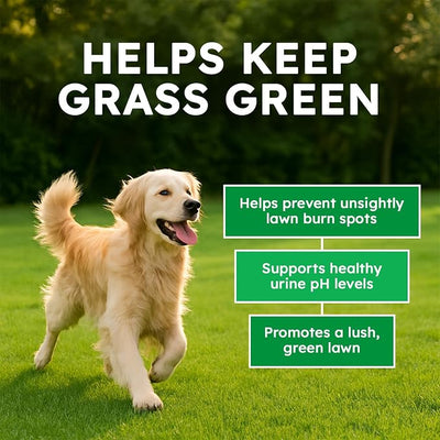 Dog Urine Neutralizer for Lawn - 150 Chews - Advanced Green Grass Dog Chews - Canine Pee Grass Saver - Green Lawn Treats with Natural Ingredients & Digestive Enzymes - Beef