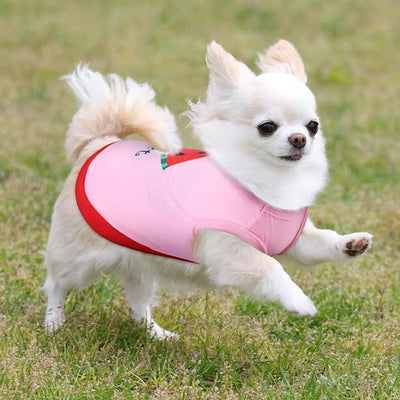Reginary 8 Pieces Dog Shirts Girl Small Dog Clothes for Chihuahuas Yorkies Female Puppy Shirts Printed Pet Outfit Cute Breathable Soft Valentine's Day Doggie Cat Lovers Gift(Cute Pattern,Size M)