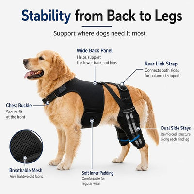 Dog Knee Brace for Back Legs (L) – Dual Hind Leg Support with Hip Harness, Adjustable Joint Stabilizer for Cruciate Ligament & Mobility Assistance, Breathable Pet Leg Wrap