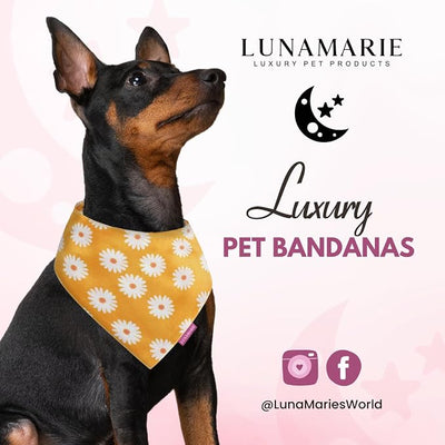 LunaMarie - Luxury Pet Birthday Bandanas -Premium & Silky Poly Fabric | 100% Handmade | Custom Shape Dual Layered (Daisies, Small)