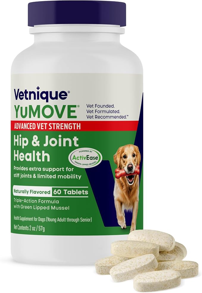 Dog Hip & Joint Supplement, Regular or Advanced Strength - ActivEase Green Lipped Mussel, Glucosamine, Hyaluronic Acid & Omega 3 - Chewable Tablets (60ct Chewable Tablets, Advanced Strength)