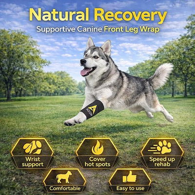 AGON® Dog Canine Front Leg Brace Paw Compression Wraps with Protects Wounds Brace Heals and Prevents Injuries and Sprains Helps with Loss of Stability Caused by Arthritis (XXS/XS)