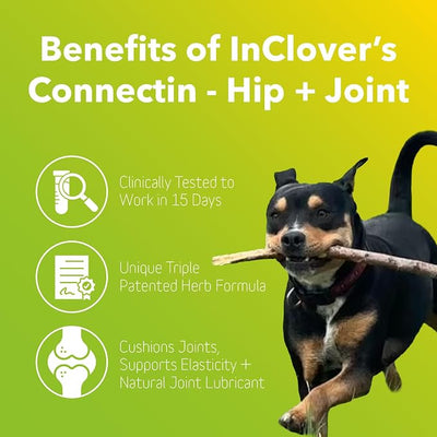 InClover Connectin Natural Hip & Joint Supplement for Dogs with Glucosamine, Chondroitin & Hyaluronic Acid - Soft Chew for Dog Mobility, Comfort & Active Lifestyle Support, 300 Count