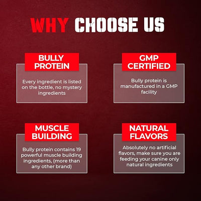 Convenient Real Meat Protein Powder for Dogs | 283mg Pure Protein Powder for All Dog Breeds | Nourishing Daily Protein Dogs. Fast Results. No Raw Meat Needed. 30 Day Supply (60 Servings) Dog Protein
