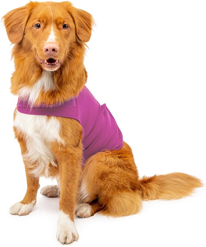 Dog Anxiety Calming Wrap, Medium, Radiant Orchid