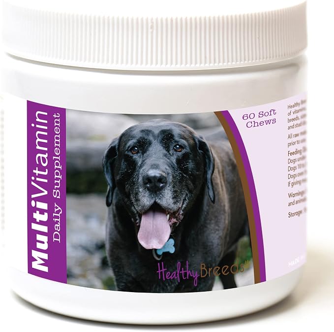 Mastador Multi-Vitamin Soft Chews 60 Count