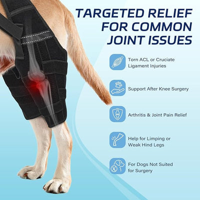 Dog Knee Brace for Torn ACL Hind Leg– Dog Leg Brace with Metal Stabilizers for Dogs with Torn ACL, Luxating Patella, Ligament Injuries & Hip Dysplasia, Limping or Osteoarthritis Recovery,M-2