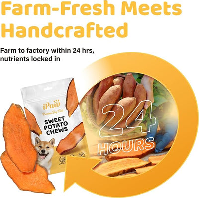 iPaw Sweet Potato Chews for Dogs, Single Ingredient Dog Treats for Vegetarian, All Natural Human Grade Puppy Chew, Rawhide Alternative, Hypoallergenic, Easy to Digest, 5 Packs