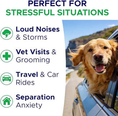 Advanced Calming Chews for Dogs - Hemp Treat + Melatonin + Valerian - Relaxing Bites - Calming Care - Anti-Anxiety & Stress Relief - Made in USA - Calm, Sleep Aid, Storms - 120Ct