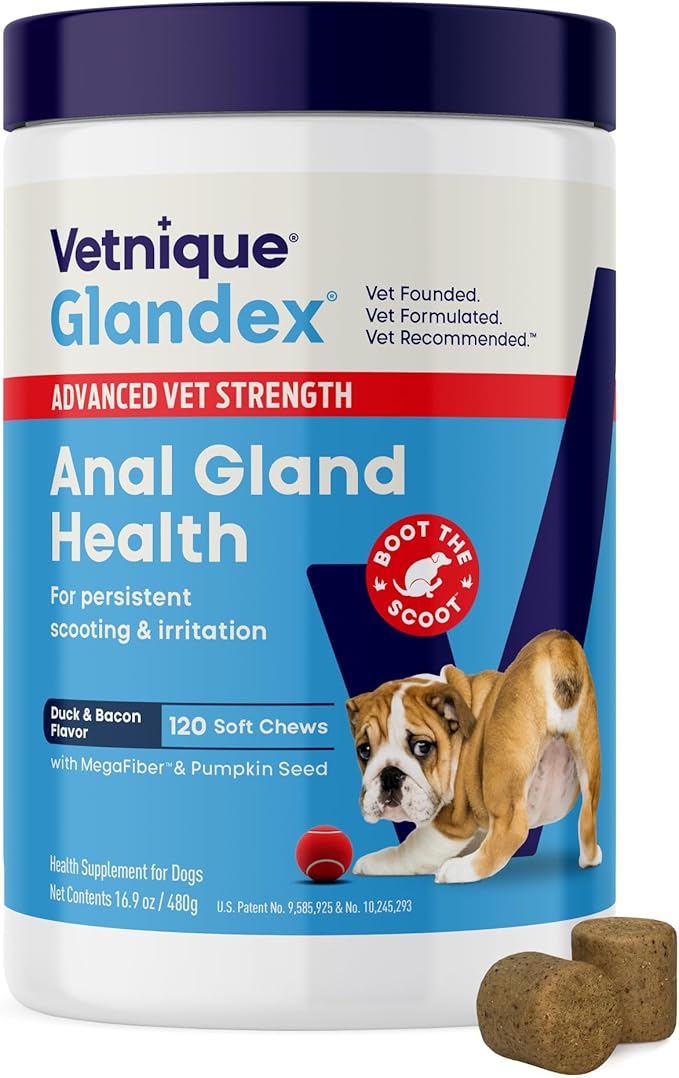Glandex Anal Gland Soft Chew Treats with Pumpkin for Dogs Digestive Enzymes, Probiotics Fiber Supplement for Dogs Boot The Scoot (Advanced Strength Duck/Bacon, 120 Ct)