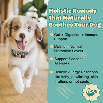 ZEBORA Dog Allergy Relief - Dog Itching Skin Relief, Advanced Skin Probiotics for Dogs, Colostrum, Support Itchy Ears, Seasonal Allergies, Immune, Digestive Health, Alternative for Dog Allergy Chews