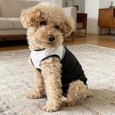 Dog Surgical Suit - Recovery Onesie for Dogs After Surgery, Spayed Female/Male Puppy, Breathable Anti-Lick Clothes, Alternative to Cone(Black and White-m)