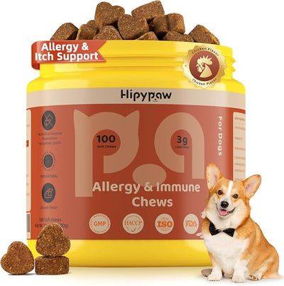 Dog Allergy Relief Chews: Anti-Itch Probiotics for Paw Licking, Seasonal Allergies & Skin Allergy - Dog Allergy Itching Skin Relief & Immune Support with MSM & Turmeric - Chicken Flavor