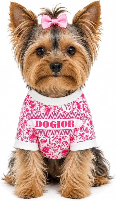 Luxury Designer Dog T Shirt – Trendy Puppy Clothes for Small Dogs, Fashion Pet Tee for French Bulldogs & Chihuahuas, Everything Chic Dog Apparel (PinkDOGIOR, Large)