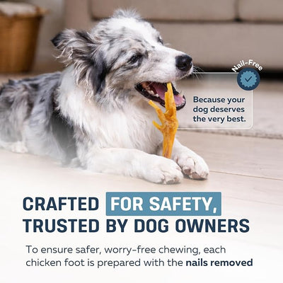 Big Lu – Nail-Free Chicken Feet Dog Chews, (100-Pack) | 100% Natural Single-Ingredient Treats, Rawhide-Free, Long-Lasting, Rich in Glucosamine and Chondroitin for Joint Health