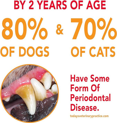 Petrodex Toothpaste for Dogs and Puppies, Cleans Teeth and Fights Bad Breath, Reduces Plaque and Tartar Formation, Enzymatic Toothpaste, Peanut Flavor, 2.5oz