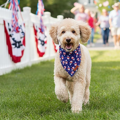 PTDECOR American Flag Dog Bandana Ice Cream Flag Patterns, 4th of July Pet Scarf, Reversible Triangle Patriotic Bandanas for Medium Large Dogs Pets (Large)