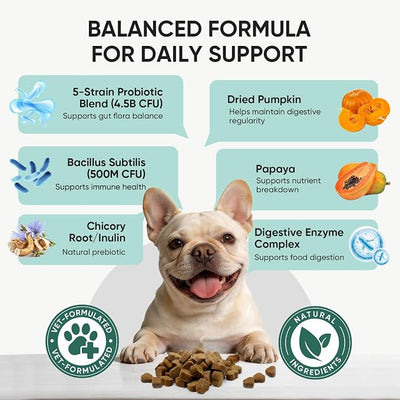 Probiotics for Dogs Gut Digestive Health Probiotic Chews for Dogs Digestive Enzymes Relieve Diarrhea Immunity Oral Problems Itching Constipation Prebiotics Dog Probiotics 200 Ct Chicken