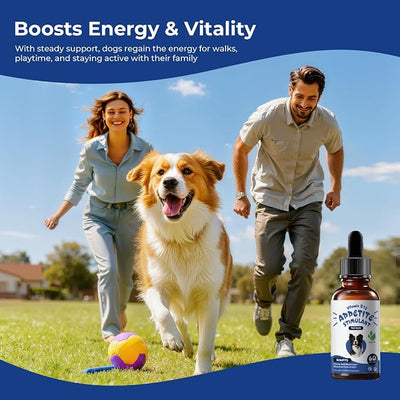 Appetite Stimulant for Dogs – Liquid Vitamin B12 Drops, Methylcobalamin(Methyl B12) Dog Supplement, Boosts Appetite, Energy, Mood, Recovery - 2 fl oz (60ml)