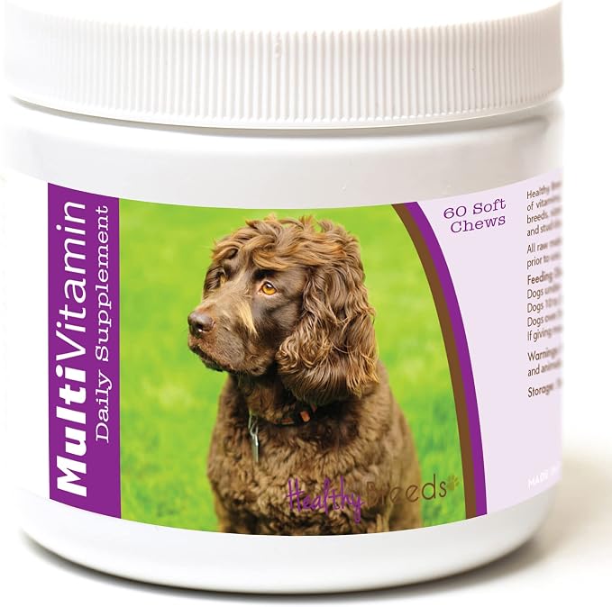 Boykin Spaniel Multi-Vitamin Soft Chews 60 Count