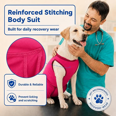 Stretchy Dog Surgery Recovery Suit with Rear Leg Sleeve to Stop Licking, Elasticity Dog Recovery Suit for Large Dogs, Dog Hind Leg Recovery Sleeve, Surgery Suit for Female After Spayed, Rose-Red XXXL