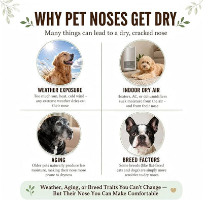Snout Soother Nose Balm for Dogs & Cats - Natural Healing & Moisturizing Balm for Dry, Cracked Snouts - Plant-Based, Soothing Skin Formula
