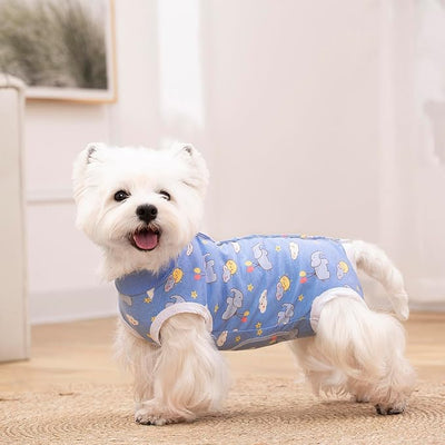 2 Packs Pet Dog Recovery Onesie Suit for Dogs Cats After Surgery,Dog Abdominal Wounds Bandages Cone E-Collar Alternative. (Blue, XS)
