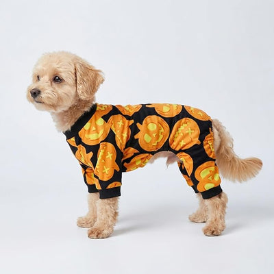 Fitwarm Halloween Pumpkin Dog Pajamas, Funny Dog Winter Clothes for Small Dogs Girl Boy, Pet Jumpsuit, Cat Halloween Costumes with Feet, Lightweight Velvet, Black, Orange, Medium