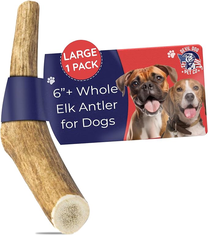 Elk Antlers for Dogs, Natural Dog Chew for Aggressive Chewers - Long Lasting and Odor Free - USA Sourced - Cleaner Teeth, Anxiety & Boredom Relief - Whole Large 6"+ - Antler Bone