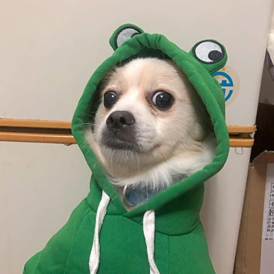 Dog Hoodie Basic Sweater Coat Cute - Frog Shape Warm Jacket Pet Cold Weather Clothes Outfit Outerwear for Cats Puppy Small Medium Dogs (XXL)