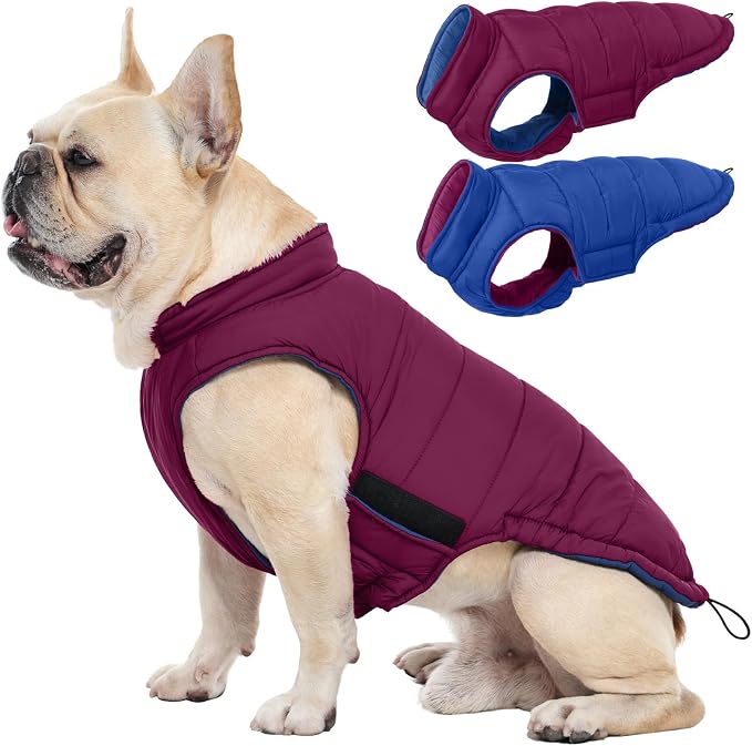 QBLEEV Reversible Dog Coat for Medium Dogs, Waterproof Windproof Winter Jacket Keeps Dogs Warm in Snow, Adjustable Hook & Loop Lightweight Dog Puffer Vest, Purple, L – Fits French Bulldog